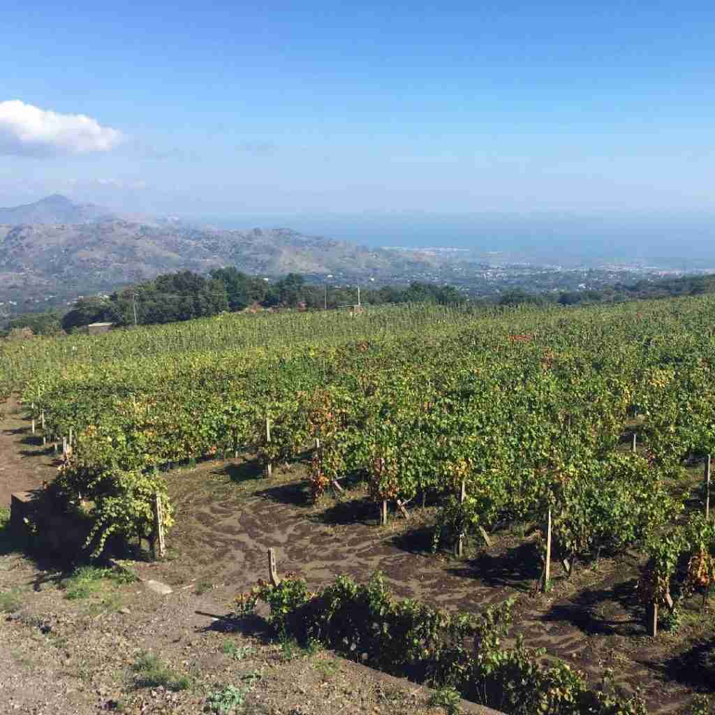 etna wine tour 2020